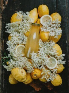 elderflower sirop recipe