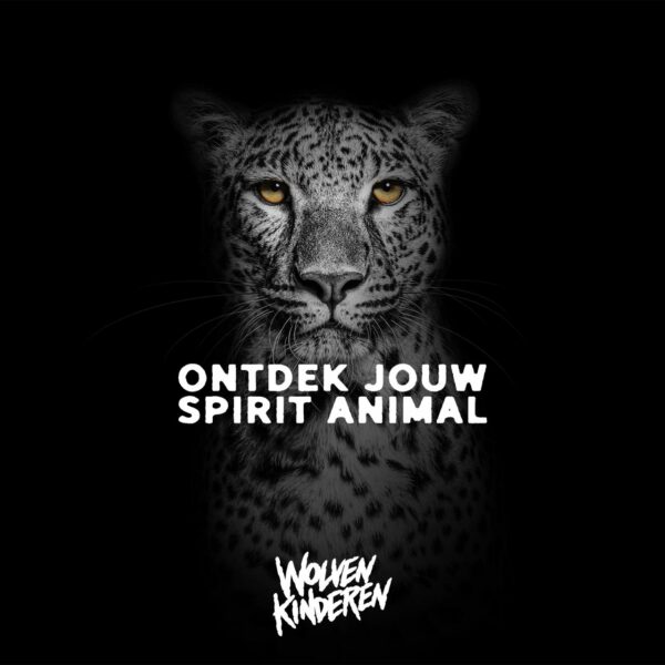 Begeleide meditatie: jouw spirit animal