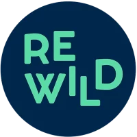 rewild